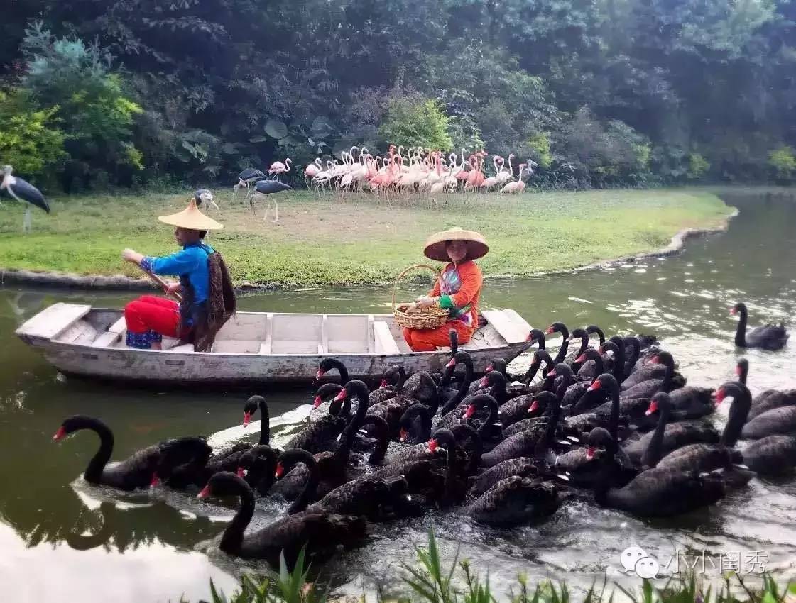 带孩子广州长隆旅游攻略,长隆动物乐园多长时间可以逛完