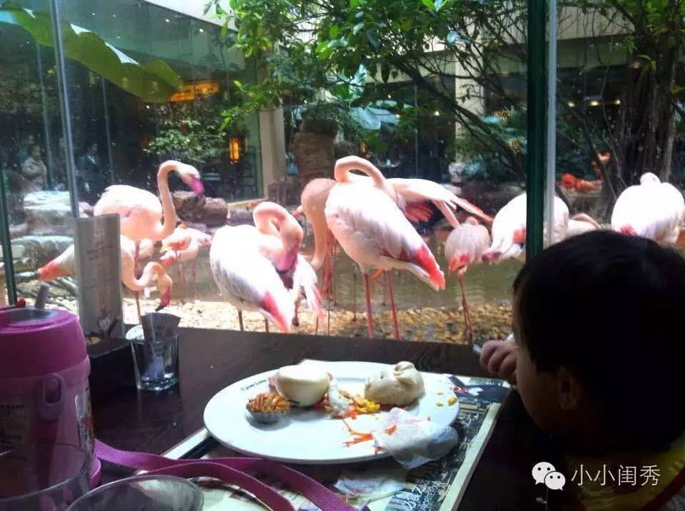 带孩子广州长隆旅游攻略,长隆动物乐园多长时间可以逛完