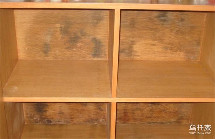 木质家具发霉要用什么消毒,发霉的家具怎么去除