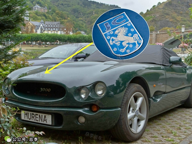 车标有马图案的是什么牌子,国产车标有马的都有什么