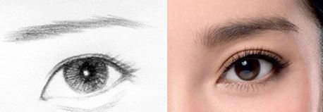 桃花眼是公认最漂亮的吗,桃花眼最迷人