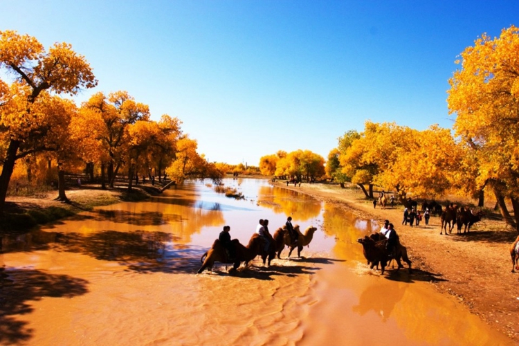 母亲四季：布满布丁的眼神里，长满庄稼和收成