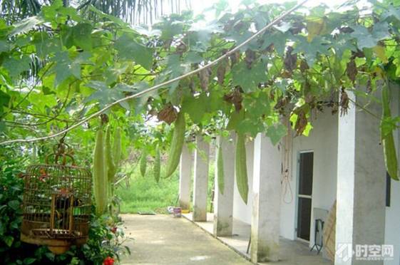 南宁附近的农家乐有哪些,南宁陈家大院农家乐大全