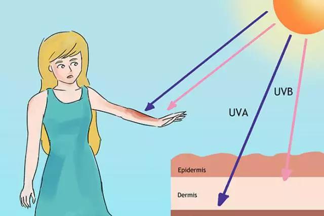 防晒伞为什么可以晴雨两用,既能防晒又能遮雨的伞靠谱吗