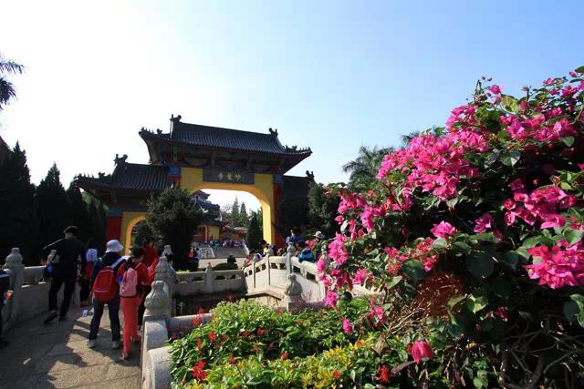 来深圳一定要去哪里逛逛,来深圳值得去的地方