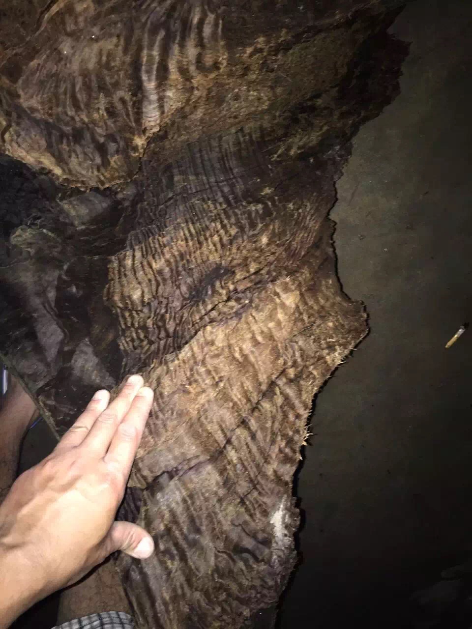 农民挖出天价乌木归属引争议,四川挖到天价乌木纪录片