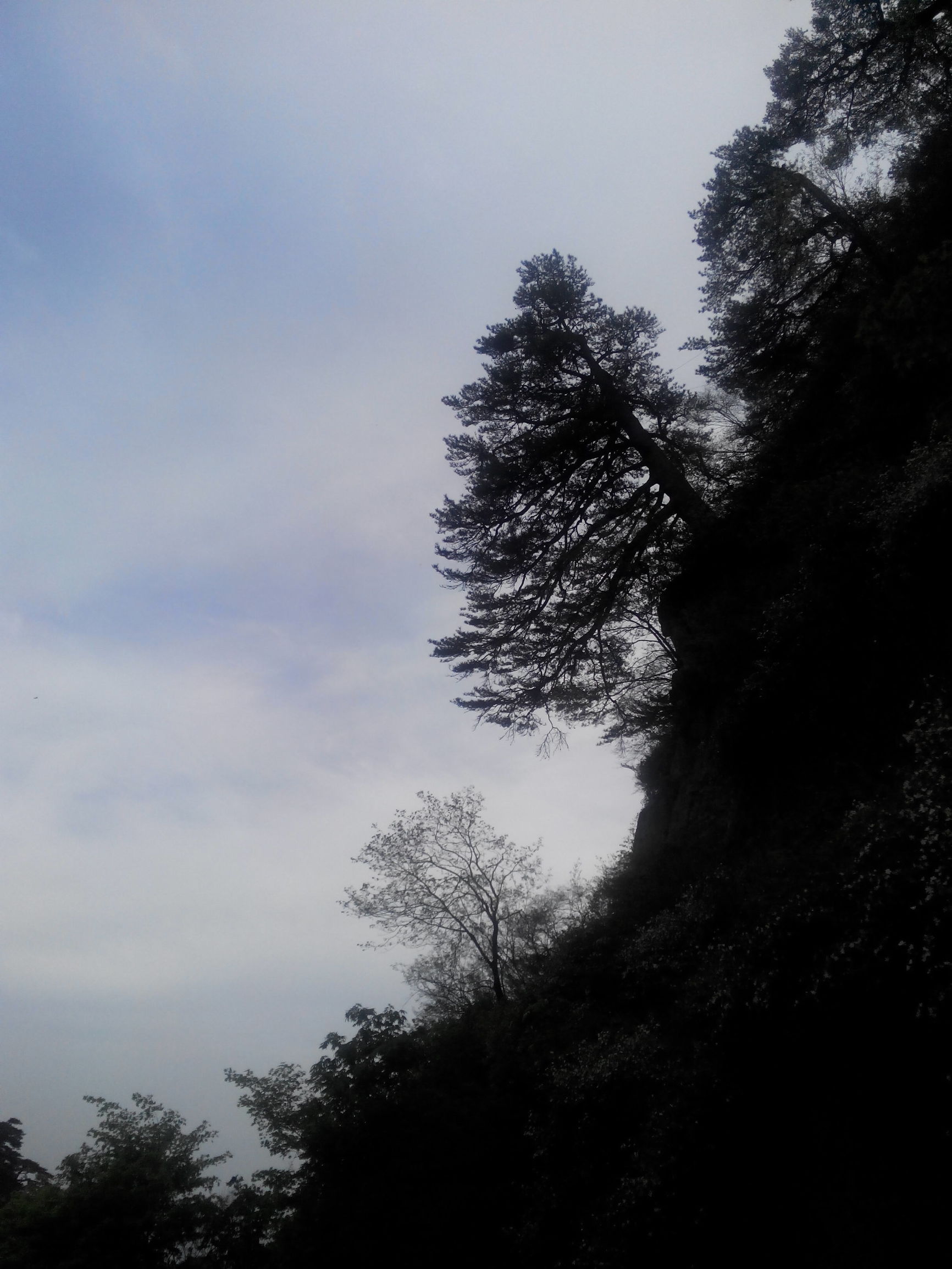 天津去泰山自由行攻略,天津泰山旅游攻略自助游