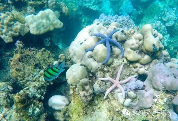 泰国的马尔代夫丽贝岛,泰国马尔代夫的海岛