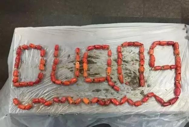 小龙虾致死是什么原因,小龙虾致死事件