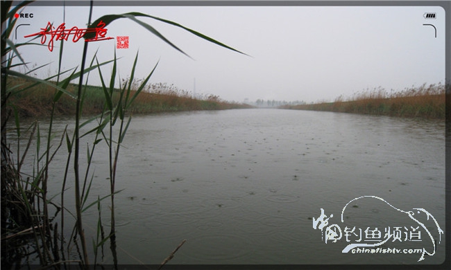 风雨无阻之我爱飞鱼去‘*欢寻**’!