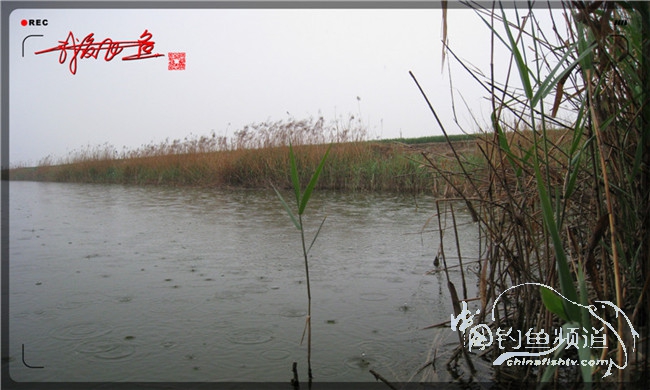 风雨无阻之我爱飞鱼去‘*欢寻**’!