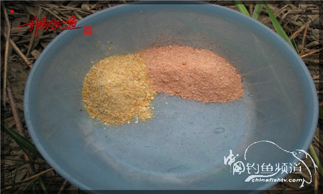 风雨无阻之我爱飞鱼去‘*欢寻**’!