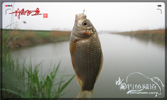 风雨无阻之我爱飞鱼去‘*欢寻**’!