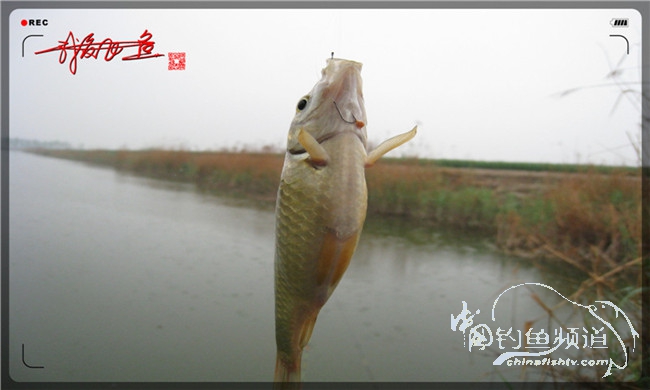 风雨无阻之我爱飞鱼去‘*欢寻**’!