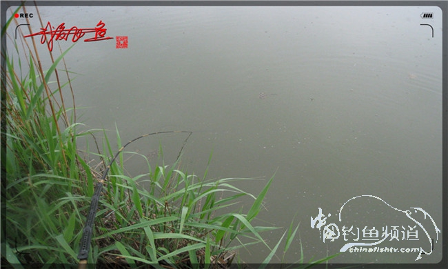 风雨无阻之我爱飞鱼去‘*欢寻**’!