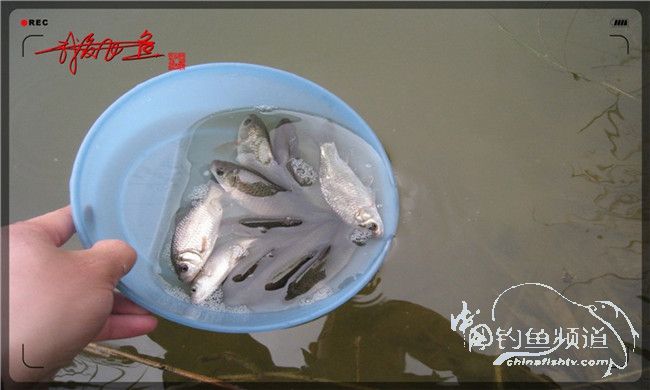 风雨无阻之我爱飞鱼去‘*欢寻**’!