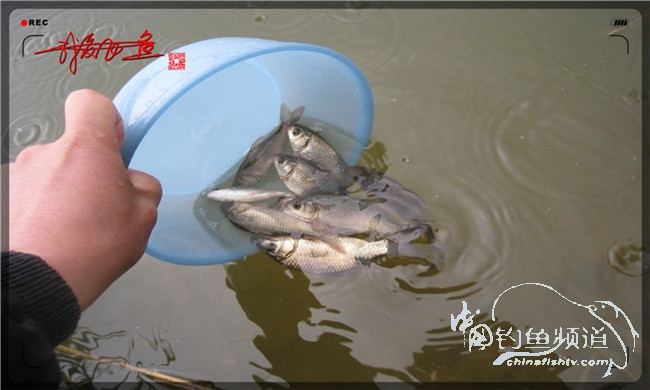 风雨无阻之我爱飞鱼去‘*欢寻**’!