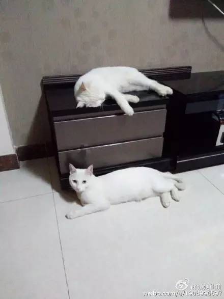 走到流浪的尽头，落入你的温暖怀抱