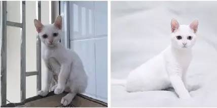 走到流浪的尽头，落入你的温暖怀抱