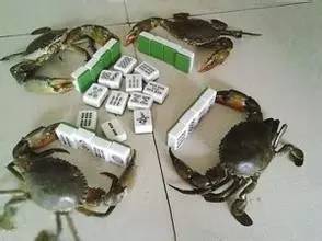 经销商最讨厌的厂家业务,经销商最怕厂家干嘛