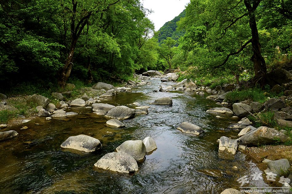 天水市国家级美丽乡村建设,天水市最美乡村名录图片