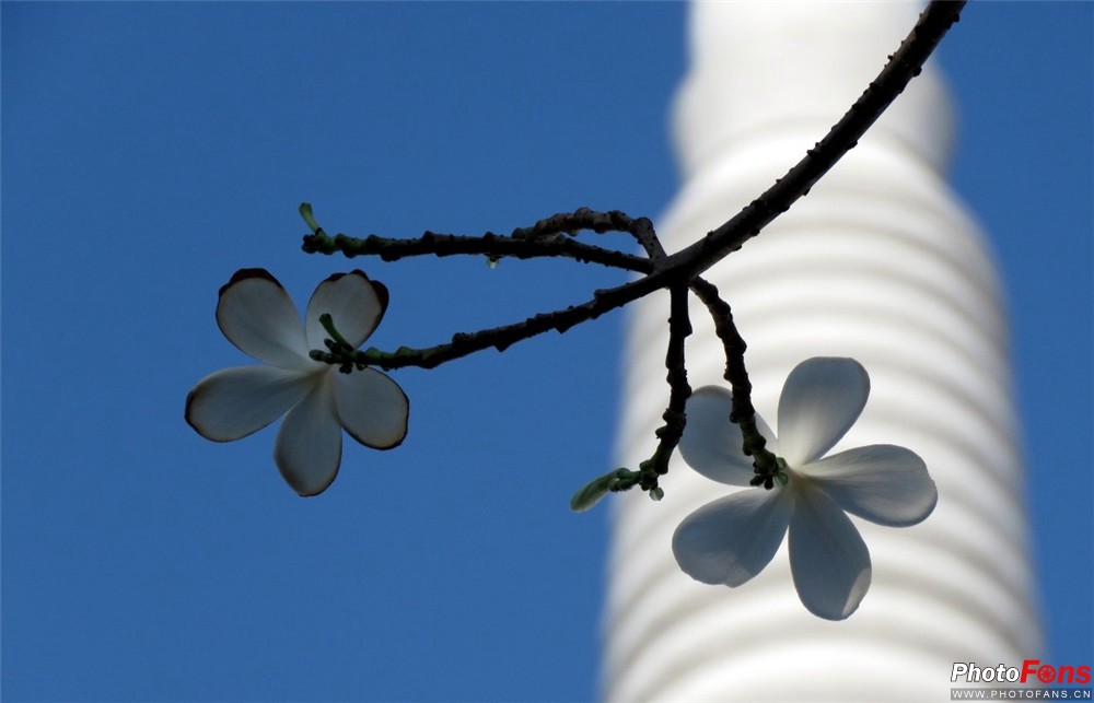 浣宠兘鐩告満dc,杩戞湡浣宠兘鐩告満鎺ㄨ崘