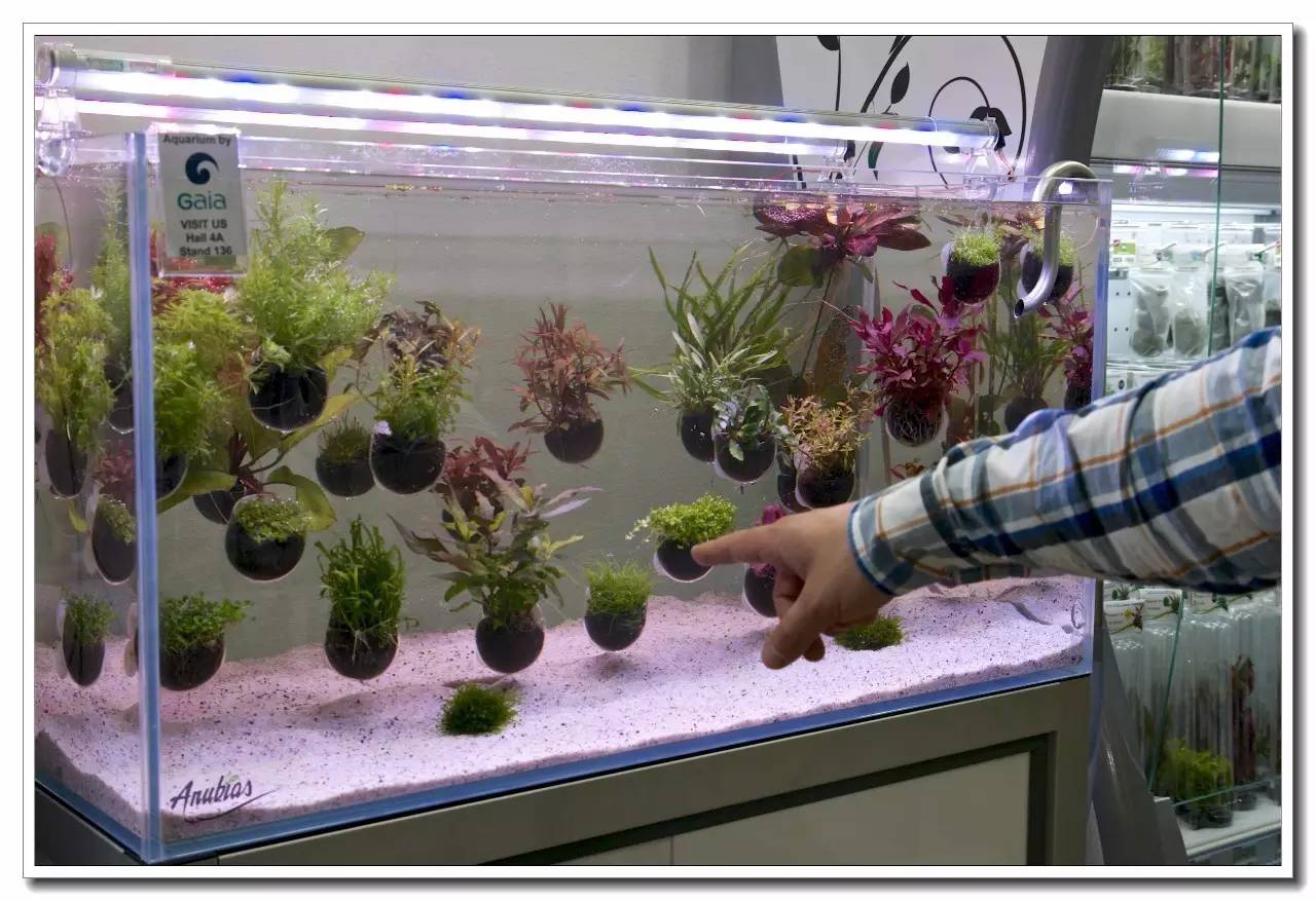 德国纽伦堡宠物展,2018德国纽伦堡宠物展