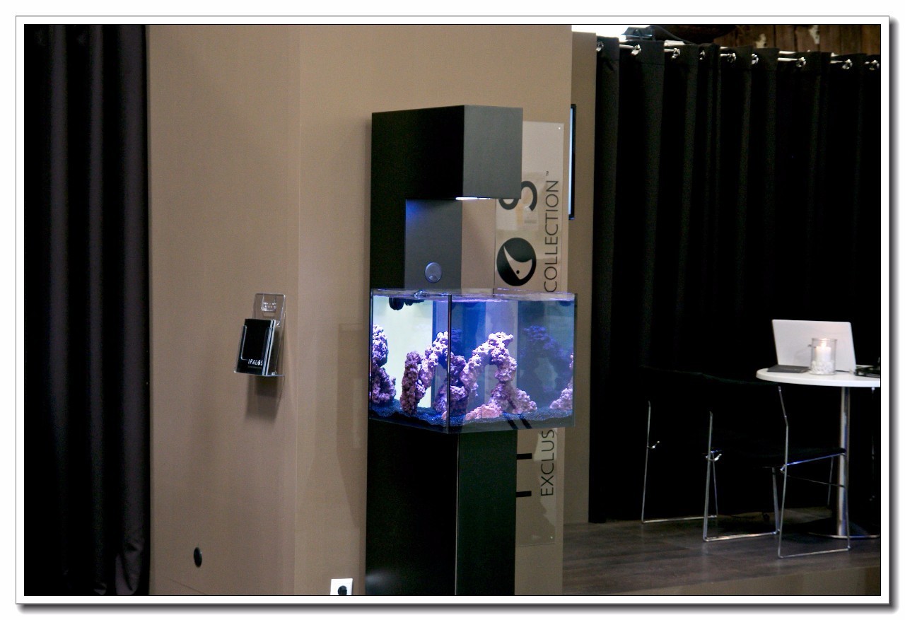 德国纽伦堡宠物展,2018德国纽伦堡宠物展