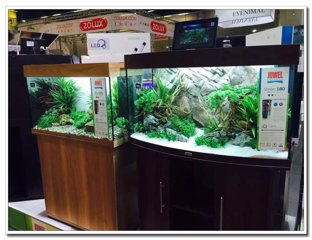 德国纽伦堡宠物展,2018德国纽伦堡宠物展