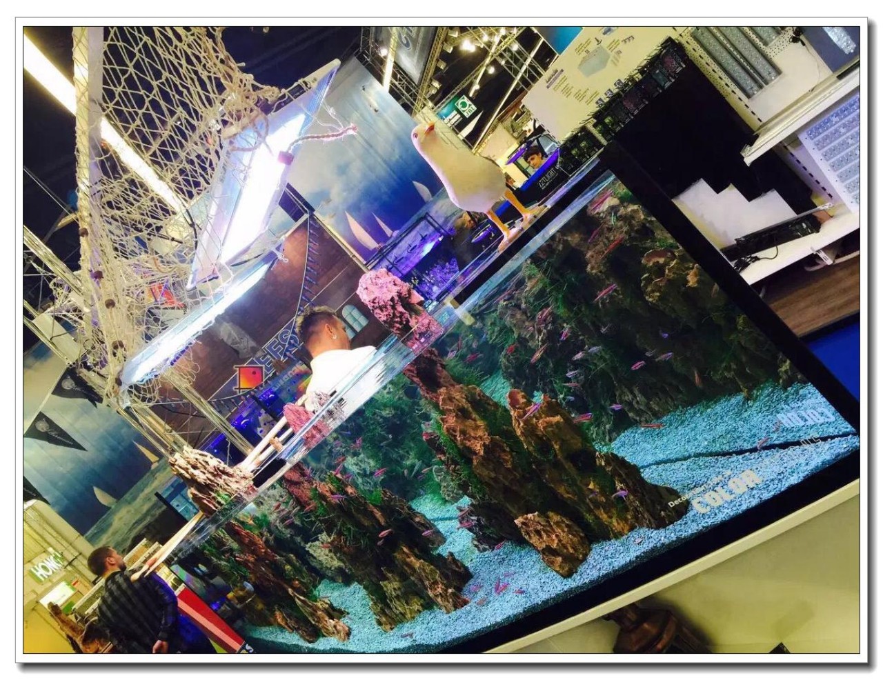 德国纽伦堡宠物展,2018德国纽伦堡宠物展