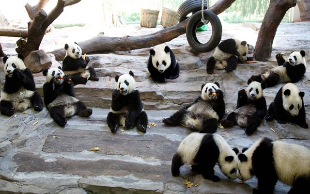 电子圈的父母六一带孩子去哪儿？