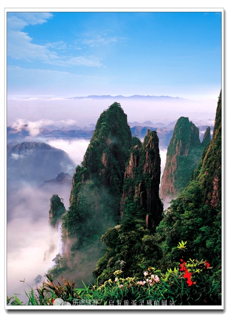 莽山国家森林公园自驾上山,莽山端午节