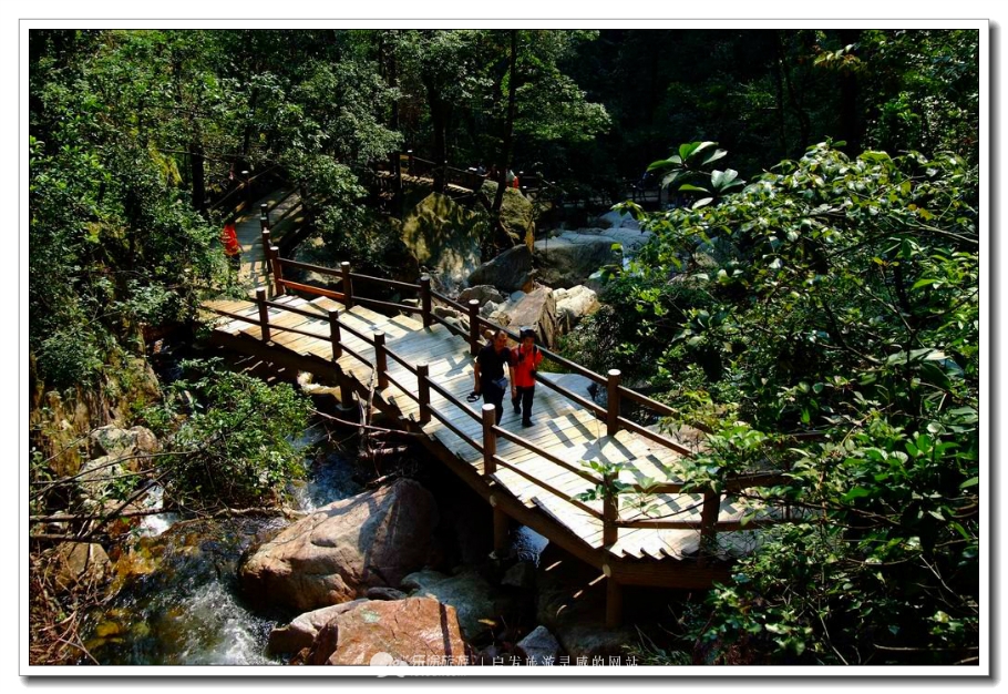 莽山国家森林公园自驾上山,莽山端午节