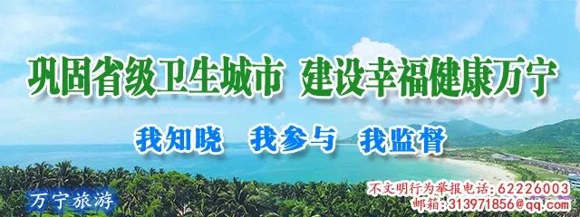 万宁特色美食榜,万宁美食斑斓