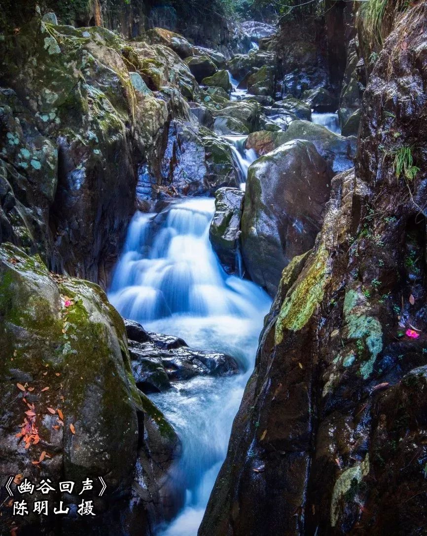 闽中深山里，有谁知道这个尤溪姑娘？真的太美了！