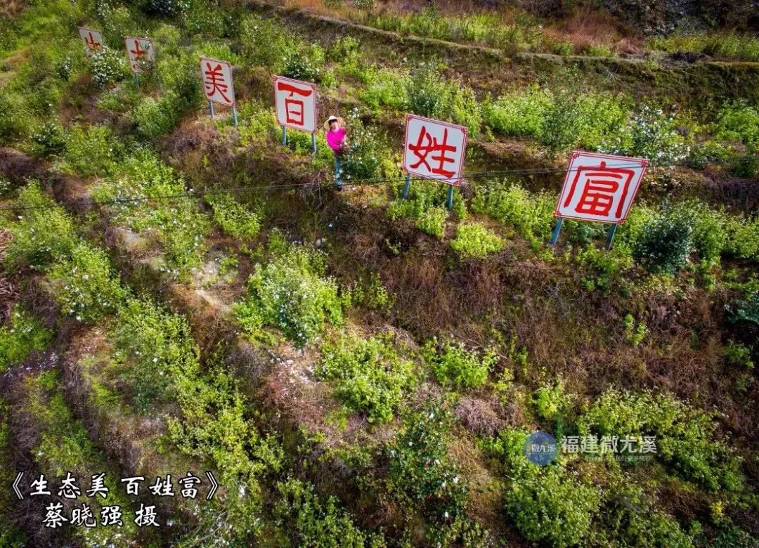 闽中深山里，有谁知道这个尤溪姑娘？真的太美了！