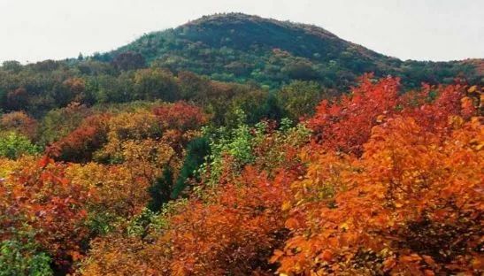 北京游玩一年不重样,一天游北京攻略大全