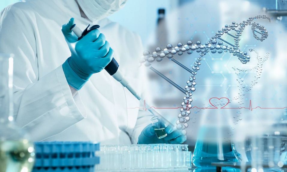 创业创新看浐灞丨坚持好产品从源头抓起它比你更关心你的健康