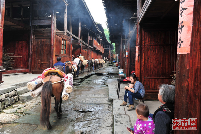 万里茶道完整版解说,万里茶道英文介绍