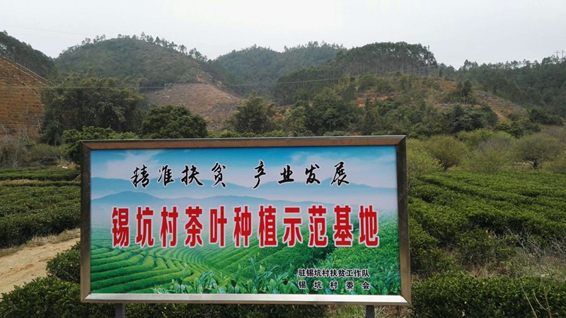 产业帮扶助推脱贫增收,产业帮扶助力贫困村民增收