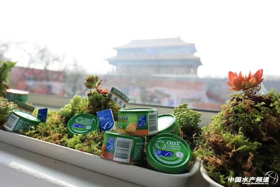 西部约翰油浸金枪鱼罐头测评,西部约翰金枪鱼罐头