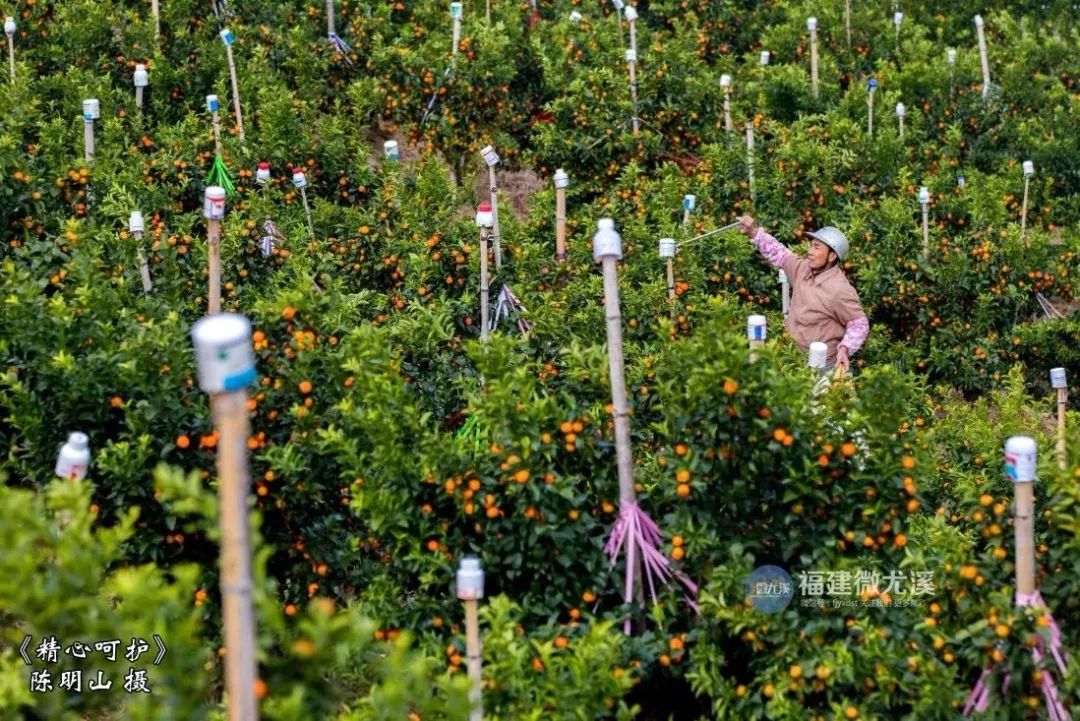 闽中深山里，有谁知道这个尤溪姑娘？真的太美了！
