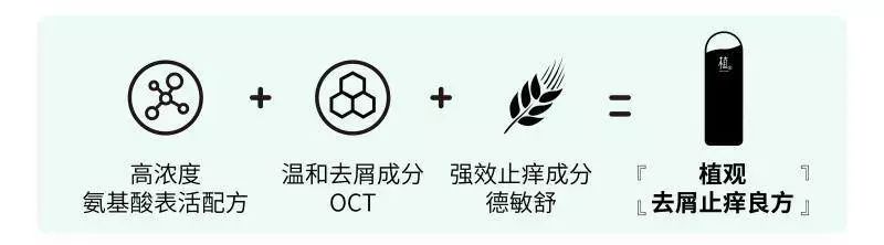 头皮屑多出油用什么牌子的洗发水,头油头皮屑掉发用什么洗发水