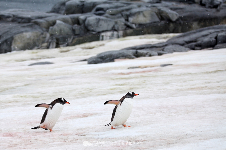 南极冰山脚下,南极的神秘之处