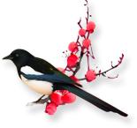 湿疹看中医效果好还是西医效果好,湿疹痒中药外用怎么止痒