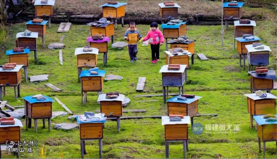 闽中深山里，有谁知道这个尤溪姑娘？真的太美了！