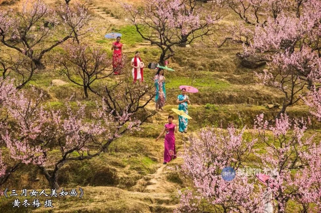 闽中深山里,有谁知道这个尤溪姑娘?真的太美了!