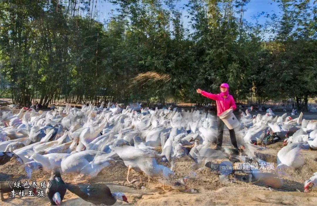 闽中深山里，有谁知道这个尤溪姑娘？真的太美了！