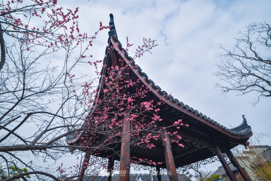 南京为什么叫金陵城市,南京为什么叫金陵城视频