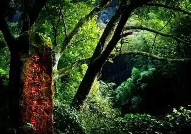 赤水一日游真实感受,感受赤水河